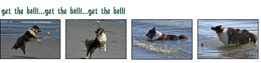 Get the Ball photo